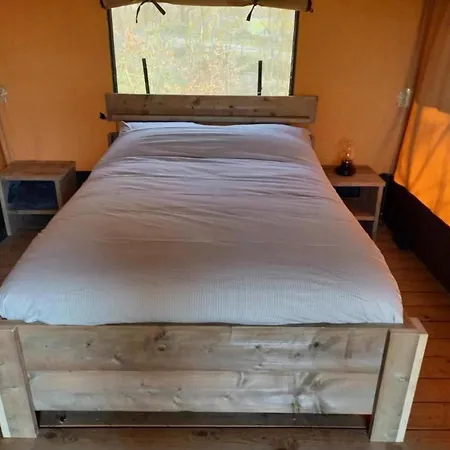 Luxury tent Safari Tent 2 Op Wellness En Stoltenborg Meddo